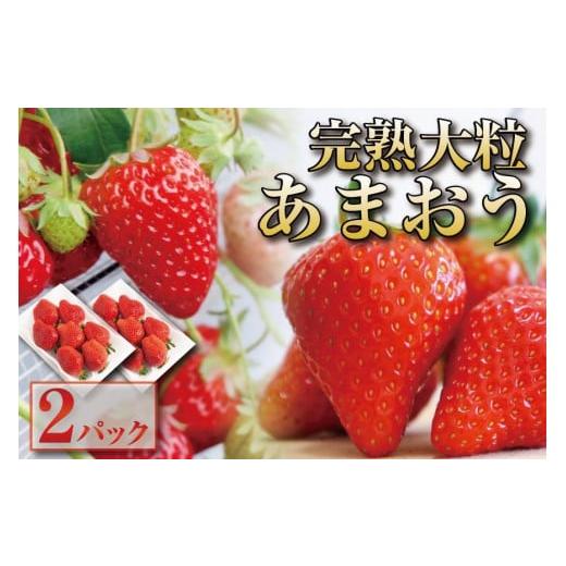 ふるさと納税 福岡県 大川市 福岡県大川市産 完熟大粒あまおう 2パックセット