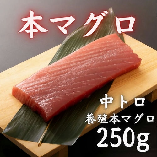 本マグロ 中トロ 250g