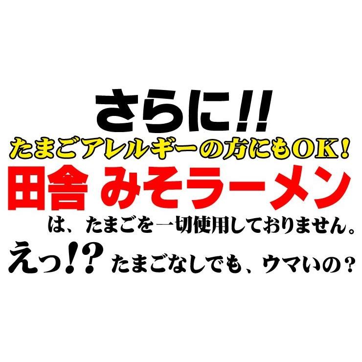  讃岐 生太 田舎 辛味みそラーメン 4食セット ポイント消化 送料無料 お取り寄せ お試し 得トクセール 特産品 味噌