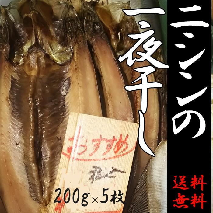 お歳暮 ギフト 開き にしん北海道産  5枚 送料無料