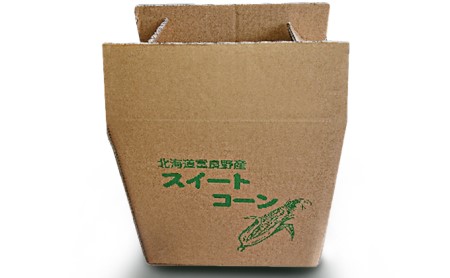 南ふらの産 朝採り とうもろこし (ホワイト)12本 北海道 南富良野町 とうもろこし 2024年発送 先行予約