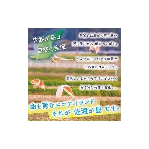 ふるさと納税 新潟県 佐渡市  佐渡島産 コシヒカリ 無洗米10Kg 特別栽培米