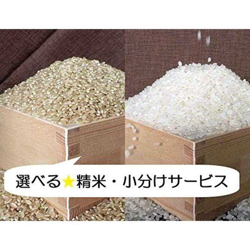 新米 キヌヒカリ 白米27kg(9kg×3) 三重県伊賀産 ヒラキファーム 令和5年産