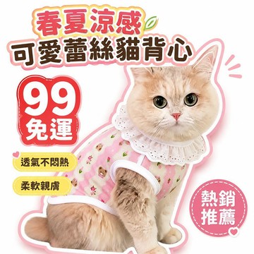 🌟熱銷🔔貓咪衣服春夏新款可愛蕾絲花邊寵物背心狗狗貓咪透氣金漸層空調服