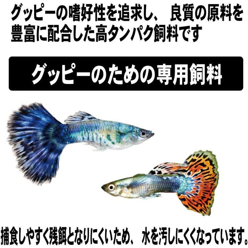 ヒカリ Hikari ひかりクレスト コリドラス [熱帯魚用飼料 80g] - 魚のエサ