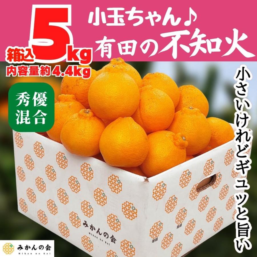 不知火 (しらぬい) 小玉ちゃん 箱込 5kg (内容量約4.4kg) 秀品 優品 混合 和歌山県産 産地直送 