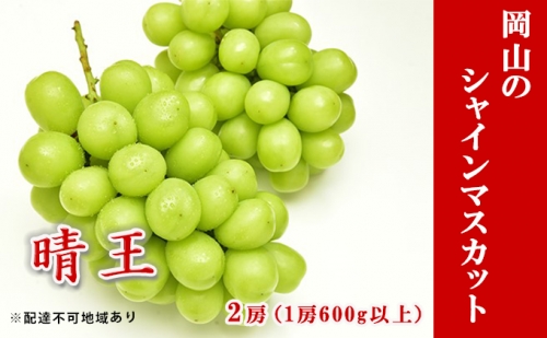 ぶどう 2024年 先行予約 シャイン マスカット 晴王 2房 （1房 600g以上） 化粧箱入り マスカット ブドウ 葡萄  岡山県産 国産 フルーツ 果物 ギフト