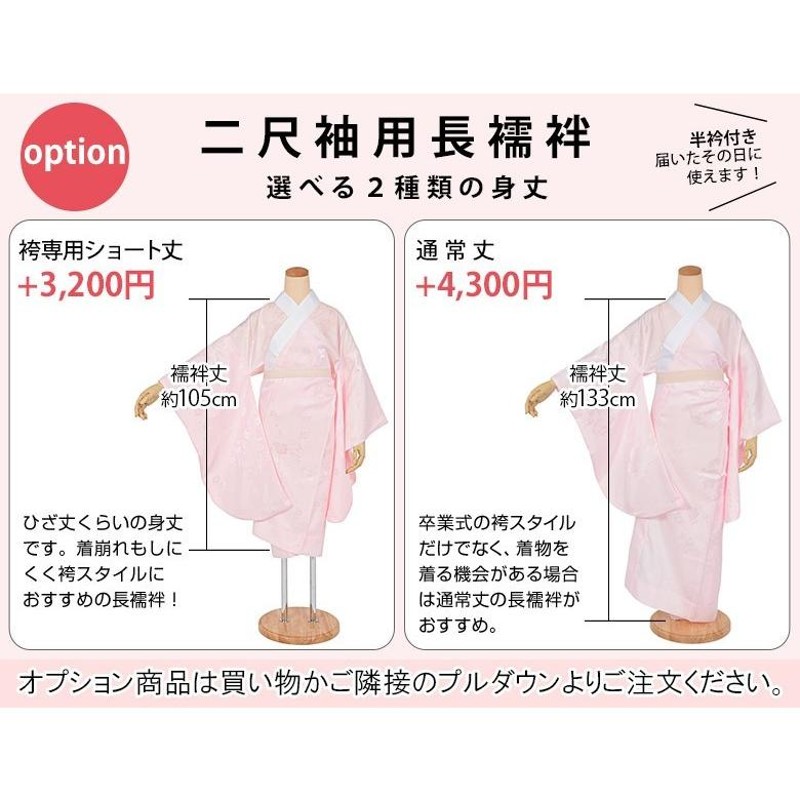 卒業式袴セット NO29-0117 上品くすみ系二尺袖セット❗️新品0117⑧