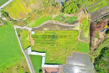 比實登還便宜｜地主誠意出售｜南投名間｜開心農場｜南投縣名間鄉田寮段