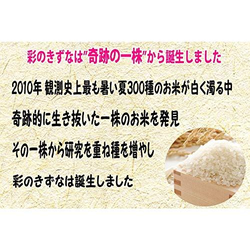 新米 埼玉県産 無洗米彩のきずな 5kg白米（検査一等米） 5年産