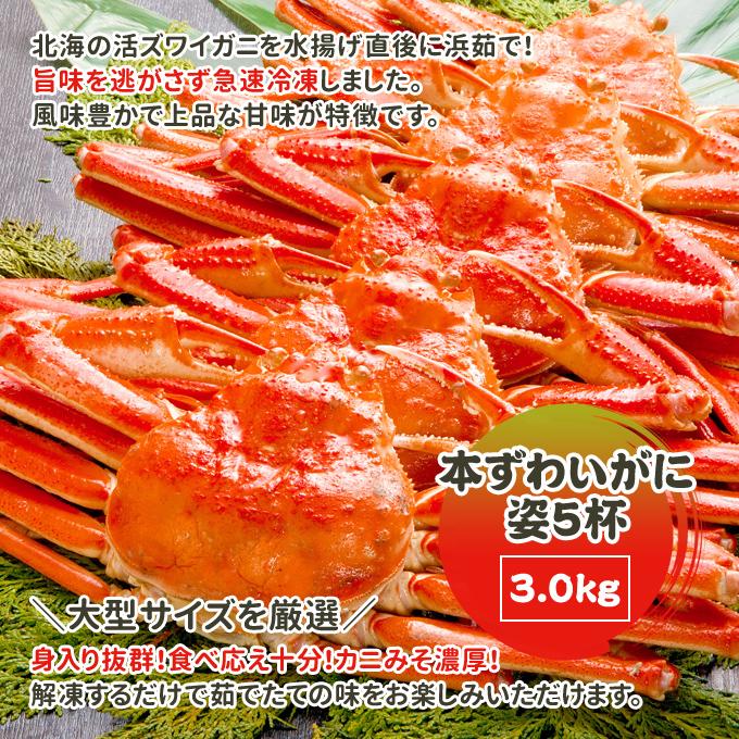 本 ズワイガニ 姿 5杯 約3kg 特大 ボイル ずわいがに ずわい蟹 ズワイ蟹 送料無料 ギフト お取り寄せグルメ