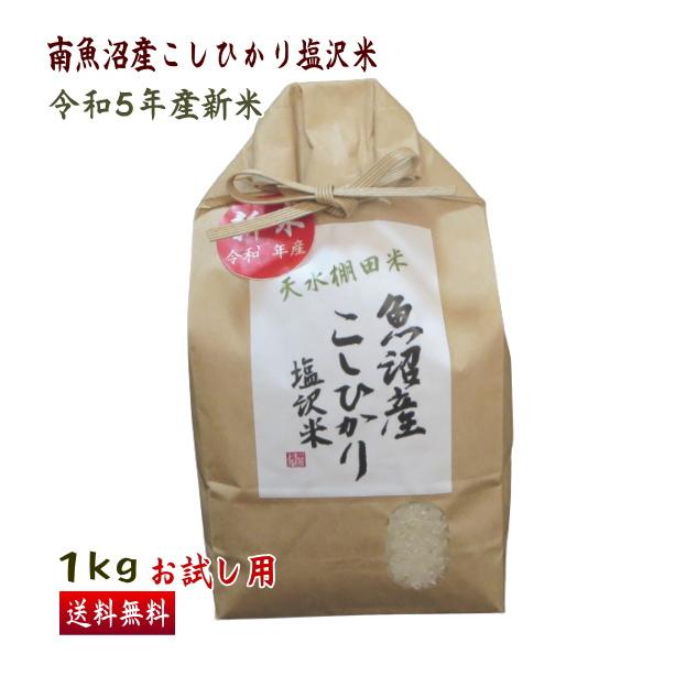 (お試し特別価格)  送料無料（令和5年新米） 南魚沼産 コシヒカリ 塩沢米 １ｋｇ 精米 こしひかり 白米 産地直送