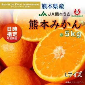 [予約 2024年1月1日必着] 熊本みかん Lサイズ 約5kg 熊本県産 熊本 JA熊本うき 早生 くまもと ミカン 産地箱 お正月必着指定 お年賀 御年