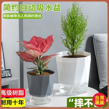 【懶人花盆】自動吸水花盆 大號塑料花盆 家用客廳陽臺綠蘿花盆 水培花盆 戶外花盆 水泥花盆 吸水花盆 大花盆