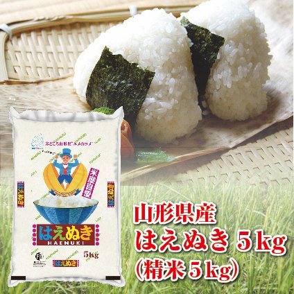 米 はえぬき 5kg 送料無料 令和5年度産 山形県産 精米済 コメ