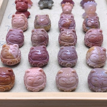 阿拉善达摩猫 阿拉善猫