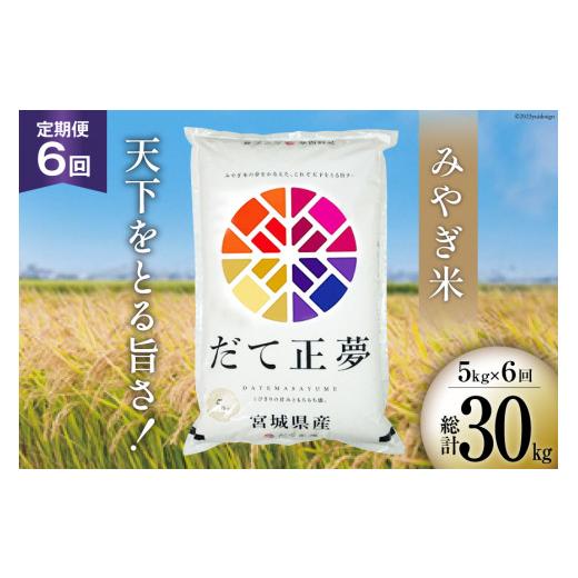 ふるさと納税 宮城県 気仙沼市 お米 6回 定期便 みやぎ米 だて正夢 5kg×6回 総計30kg [菊武商店 宮城県 気仙沼市 20562743]