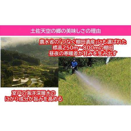 ふるさと納税 ★令和5年産★農林水産省の「つなぐ棚田遺産」に選ばれた棚田で育てられた棚田米 土佐天空の郷 5kg食べくらべセット 高知県本山町