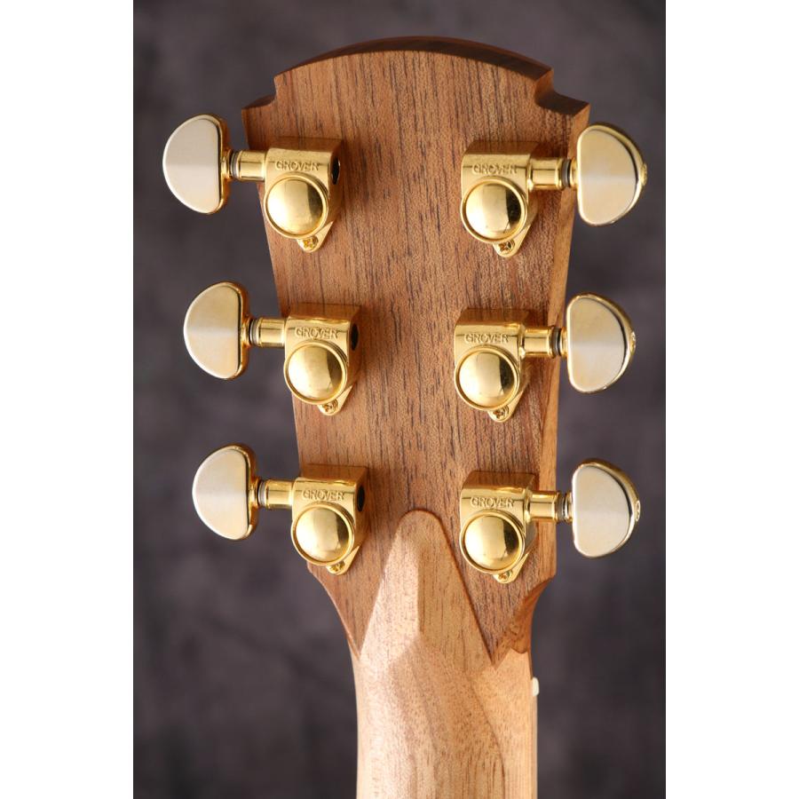 (中古)Cole Clark   CCAN2EC-BLBL Australian Blackwood top back and sides (S N：210910606)(御茶ノ水HARVEST_GUITARS)