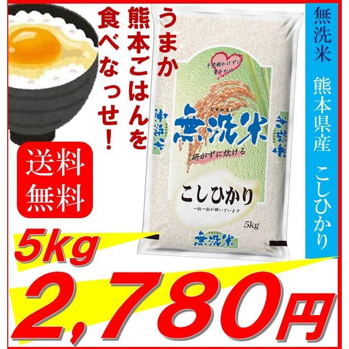 新米　米　お米　５ｋｇ　無洗米　熊本県産　こしひかり　令和５年産　送料無料