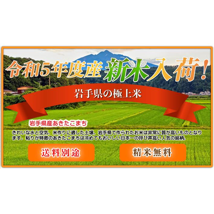 新米 令和5年産 あきたこまち 2kg お米 白米 精米 国産 岩手県産 送料別 お試し