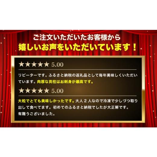 ふるさと納税 北海道 枝幸町 甘みたっぷり肉厚！大粒冷凍ほたて貝柱1kg 山武水産