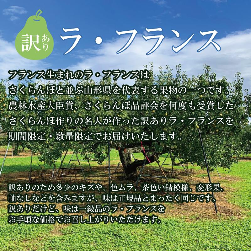 お歳暮 ラ・フランス 訳ありラ・フランス　約2kg 5玉〜8玉 山形県産 ラフランス 絶品 高級 送料無料 果物 ギフト 絶品 美味しい プレゼント