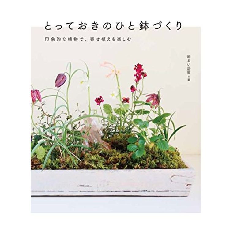 とっておきのひと鉢づくり 印象的な植物で寄せ植えを楽しむ