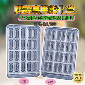 PJ小舖 爬蟲孵蛋盒 孵蛋器 產卵 孵化盒 孵化箱 繁殖爬寵豹紋守宮肥尾鬆獅蜥蜴蛇烏龜 龜室