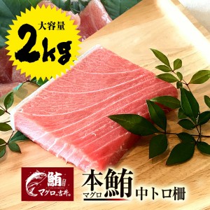 お歳暮 ギフト 本マグロ 中トロ ブロック 業務用 大容量 2kg 極上の旨味が味わえます！ 解凍レシピ付 プレゼント 海鮮 ギフト まぐろ マ