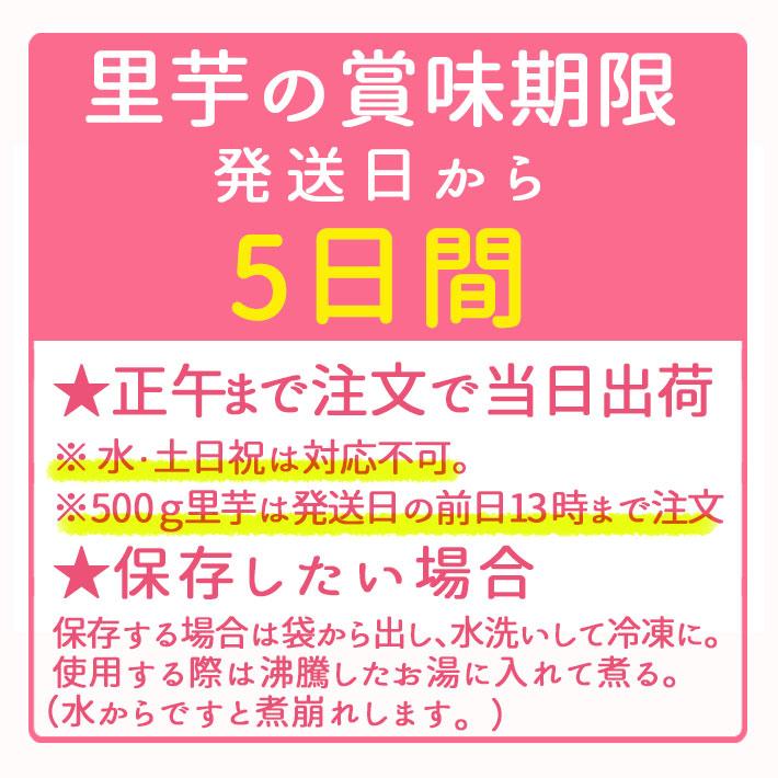 芋煮用 皮むき里芋 洗い＆むき 1600g 400g×4 国産 クール便・宅配Box不可