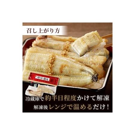 ふるさと納税 うなぎ／うなぎの白焼き2~3人前（1尾）ウナギ特製タレと山椒付き　うなぎの白焼きセット・うなぎの白焼き・うなぎ１匹 京都府京丹後市