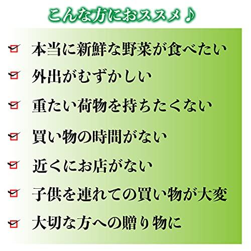 新鮮お野菜 12品以上 野菜セット オマケ4〜5品付き 九州市場から直送 野菜詰め合わせ