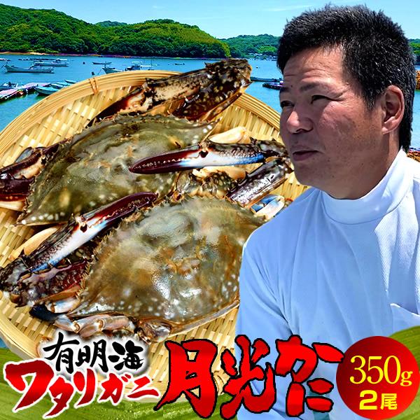 ワタリガニ直売 活〆 有明海 生 渡り蟹 約350g(S)×2尾 わたりがに 熊本県上天草市 旬 活締め冷凍 ボイルして本格パスタに［お歳暮 2023 ギフト 御歳暮］