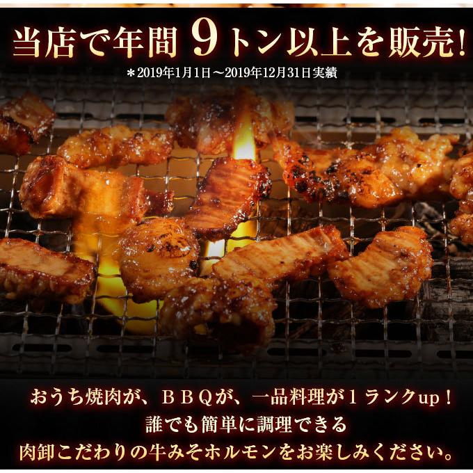 ホルモン 訳あり 肉 焼肉 バーベキュー お取り寄せ グルメ ギフト 食品 ポイント消化 人気 シマチョウ てっちゃん もつ 味噌 タレ 500g