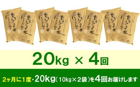 3人に1人がリピーター!☆2ヶ月ごとにお届け☆ 岩手ふるさと米 20kg(10kg×2)×4回 令和5年産 新米 隔月定期便 一等米ひとめぼれ 東北有数のお米の産地 岩手県奥州市産 [U0180]