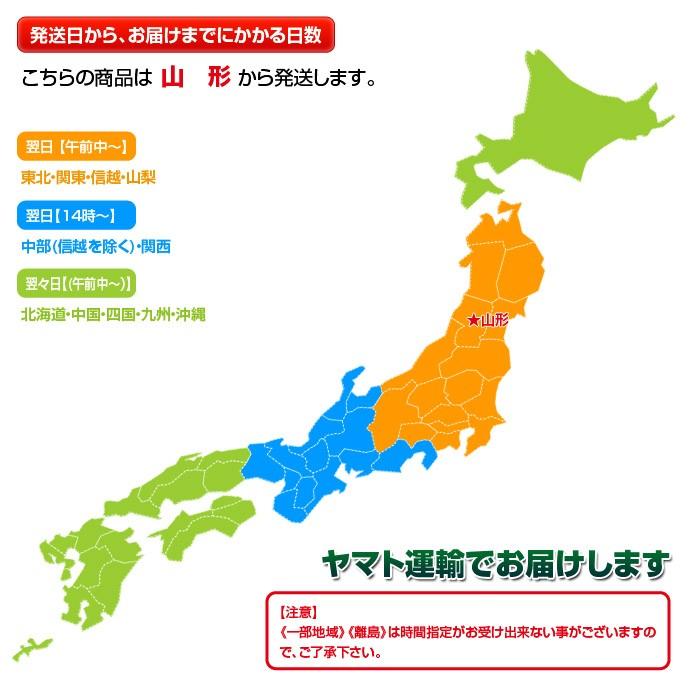 山形県産大石田 雪下 自然薯 じねんじょ 秀品 1キロ（2〜3本入り） 産地直送 とろろ ご飯 冷蔵 同梱不可 送料無料