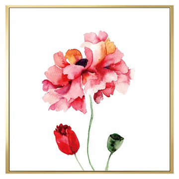 Boluo 菠蘿選畫所 花香調I 40 x 40cm 花卉掛畫  金色