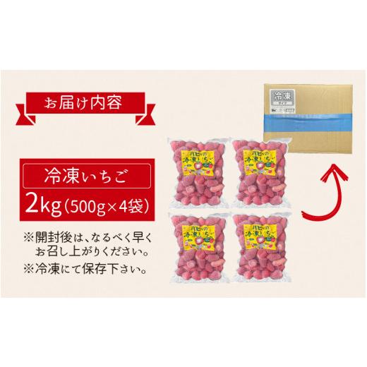 ふるさと納税 福井県 高浜町 いちご農園のブランド苺(冷凍いちご×2kg)