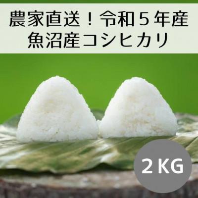 ふるさと納税 十日町市 新潟県魚沼産コシヒカリ「山清水米」精米2kg