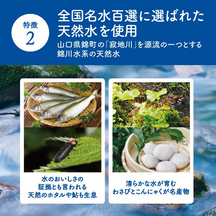 粒こんにゃくヘルシーリゾット　チーズ味　30袋セット　寂地蒟蒻　送料無料