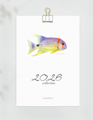 2026年歷 海洋魚主題掛歷 日歷 月歷 水族舘裝飾 新年禮物 掛畫