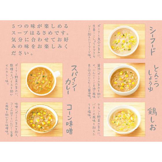 ダイショー バラエティ広がる5つの味のスープはるさめ 10食