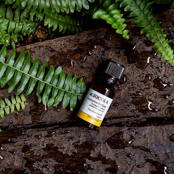 有機澳洲尤加利精油 - 德國原裝進口 純植物萃取天然擴香