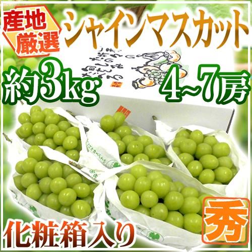 ”シャインマスカット” 秀品 4〜7房 約3kg 化粧箱 産地厳選 送料無料