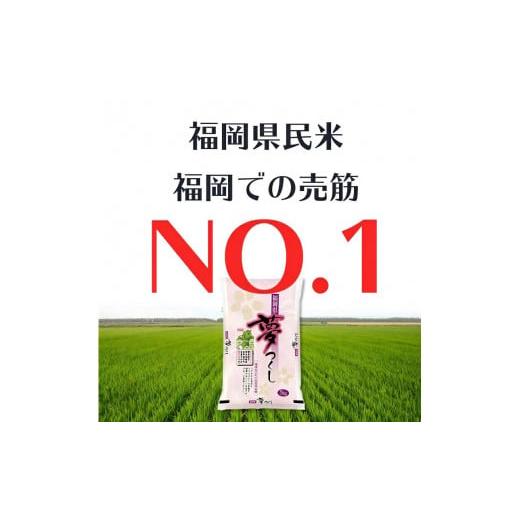 ふるさと納税 福岡県 久留米市 令和５年産　普通精米　福岡県産夢つくし計３回合計30ｋ