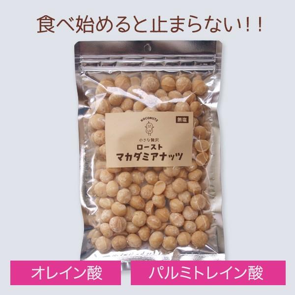 香ばしい ロースト マカダミアナッツ 250g  塩味 無添加 素焼き マカデミアナッツ おやつ おつまみ