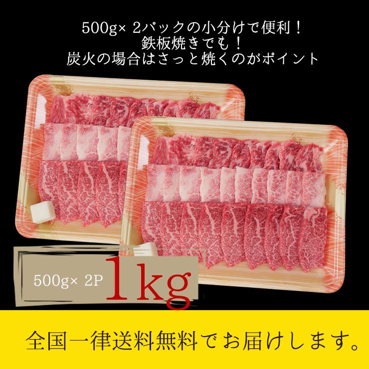 肉 福袋 牛肉 焼肉セット 飛騨牛 メガ盛 カルビ 1kg 約4人〜5人 焼肉 焼き肉 黒毛和牛 バーベキュー バーベキューセット お取り寄せグルメ