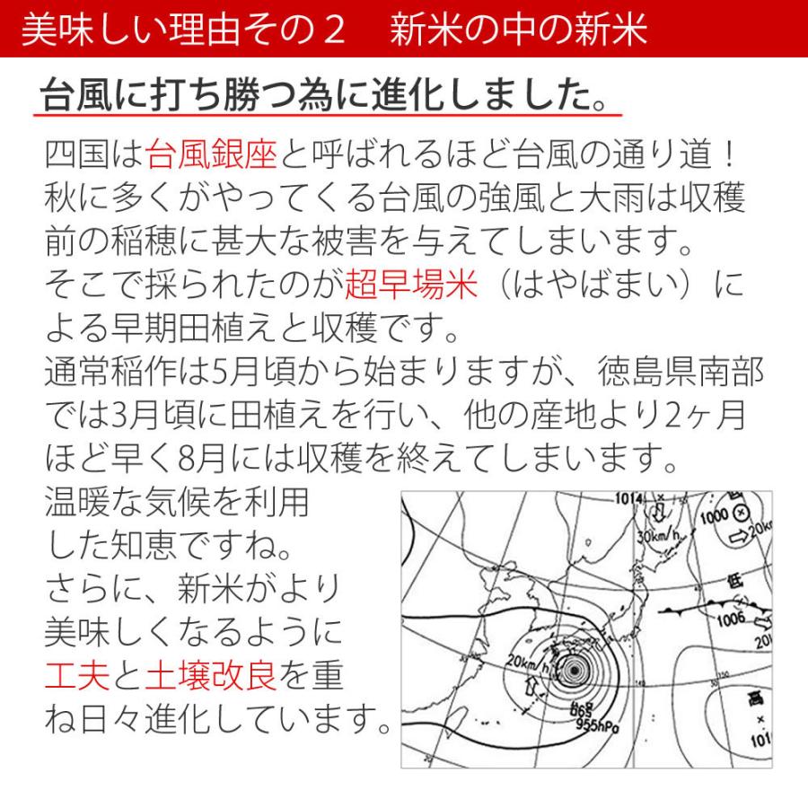 令和4年産 農家自慢のお米 コシヒカリ 5kg（白米）産地直送 徳島県産 新米 検査米