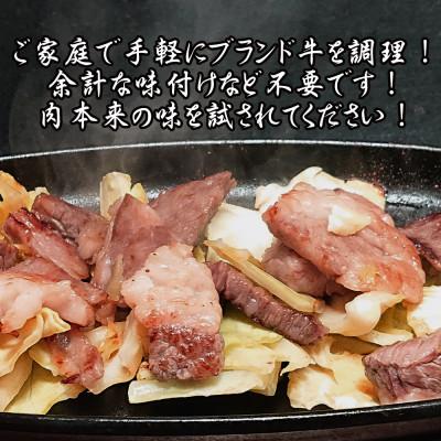 ふるさと納税 佐賀市 佐賀牛はしっこ焼肉セット500g